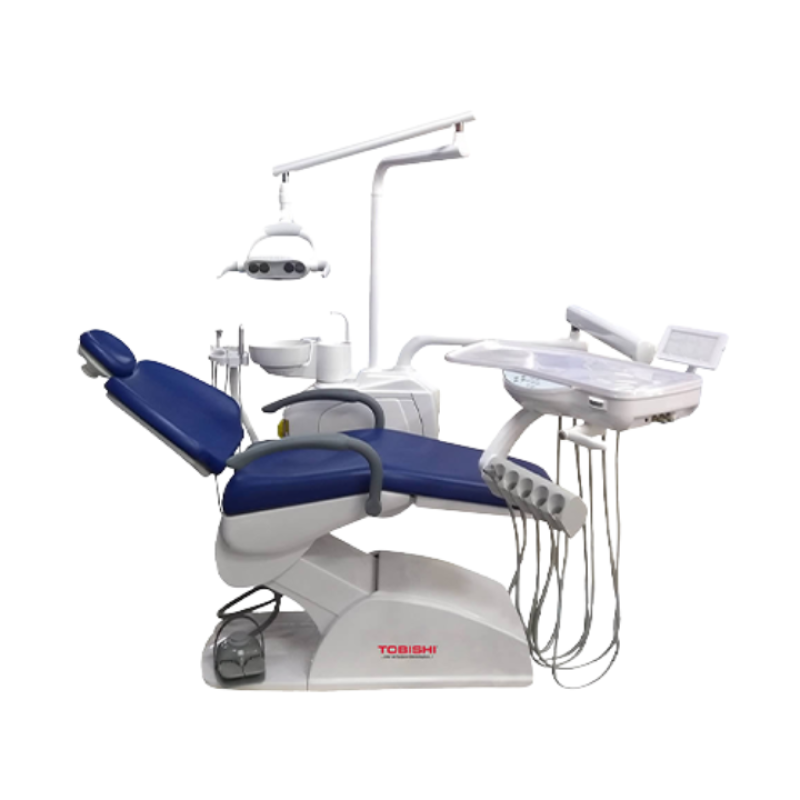 Camilla dental